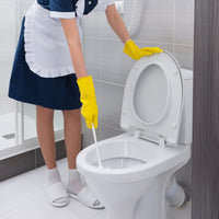 Toilet Stain & Odor Removal Service